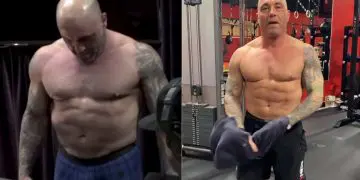 Joe Rogan Transformation
