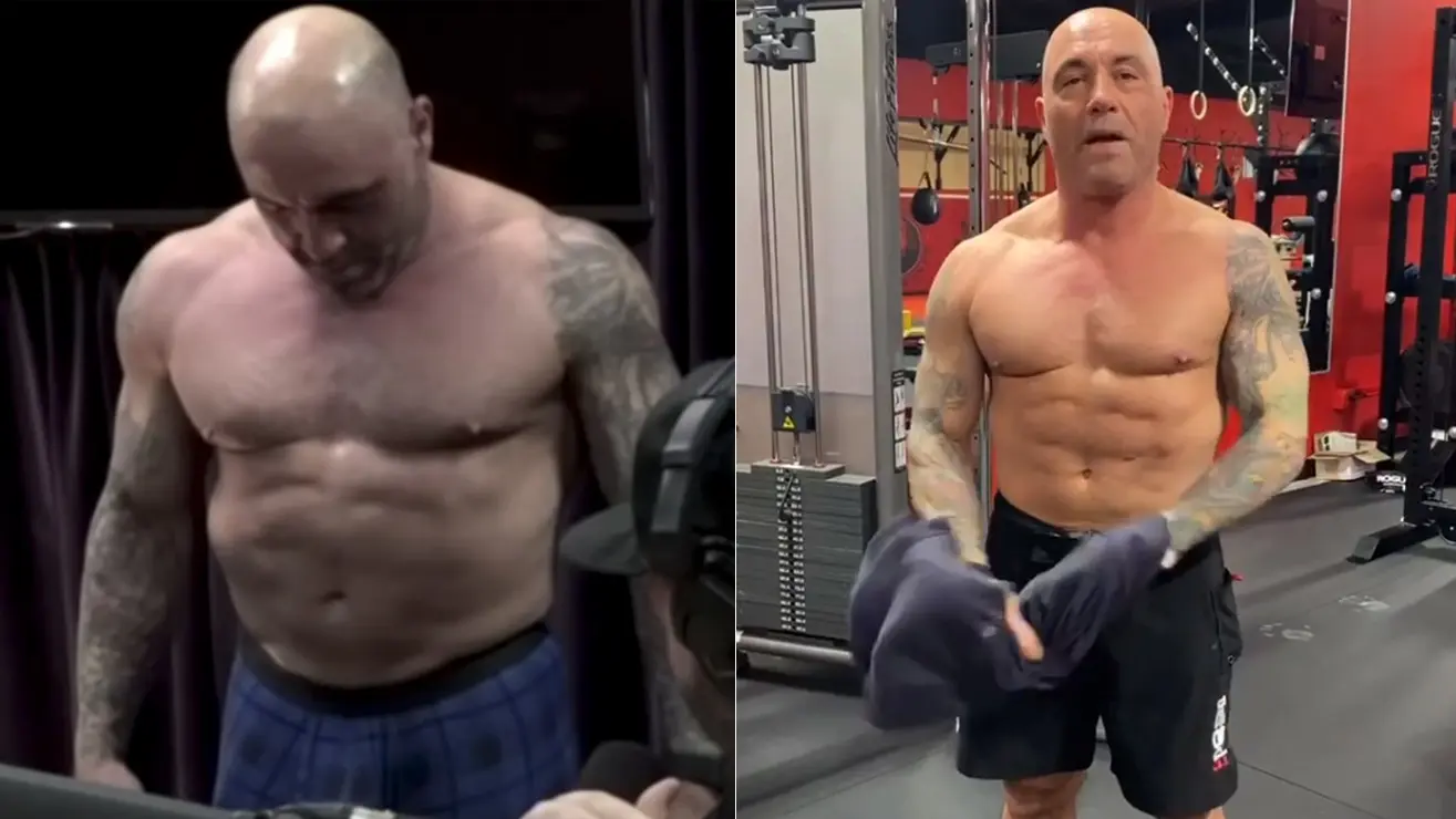 Joe Rogan Transformation
