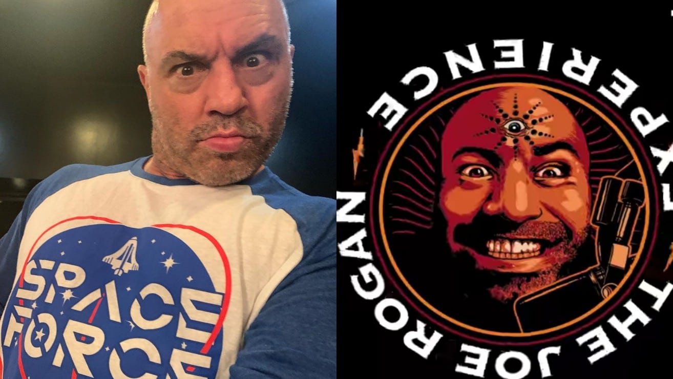 Joe rogan podcast в hamster combat