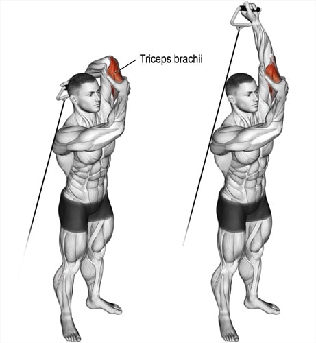 Single Arm Overhead Triceps Extensions
