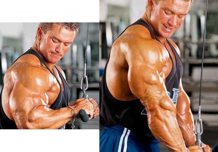 Triceps Cable Pushdowns