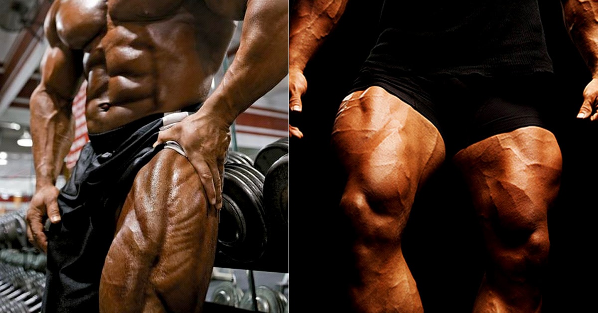 Vindicating the Leg Extension: How To Build Great Quads Safely With This  Bodybuilder's Favorite
