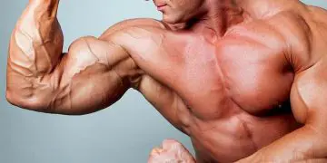 Biceps Stretch