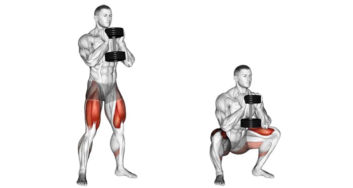 Goblet Squat Vs Sumo Squat Which One Is Best Fitness Volt Goblet Squat Vs Sumo Squat Which One Is Best Fitness Volt