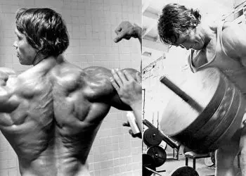 T-Bar Row Exercise Guide