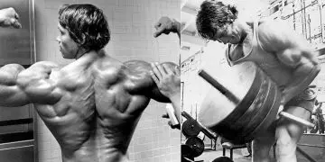 T-Bar Row Exercise Guide