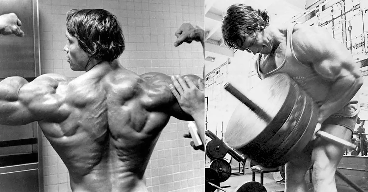 T-Bar Row Exercise Guide