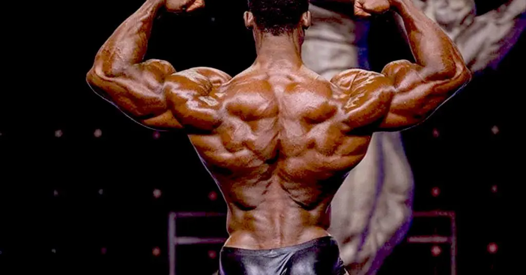 TRX Back Workout
