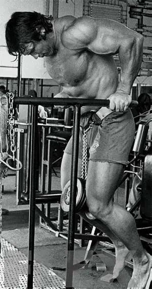 Arnold Bodyweight Workout 