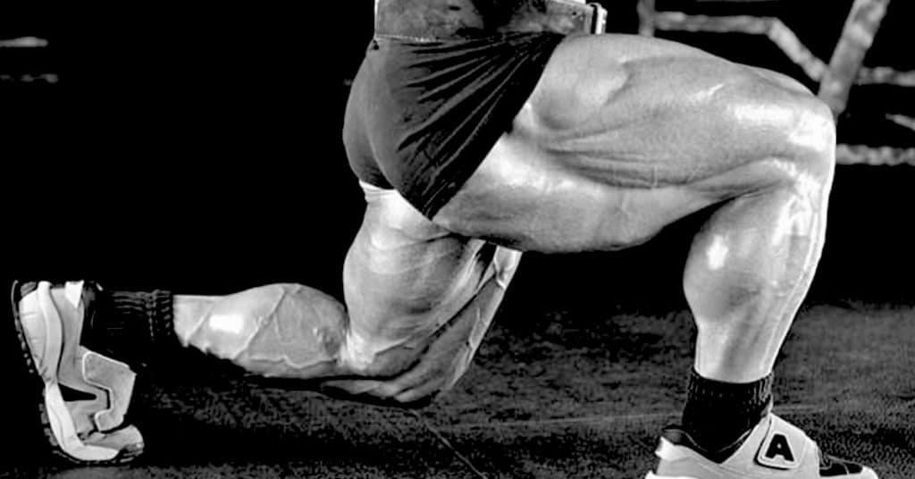 best shoes for leg workouts