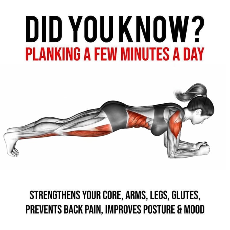 Verval Modderig Controverse Think You Can Complete This 30-Day Plank Challenge? – Fitness Volt