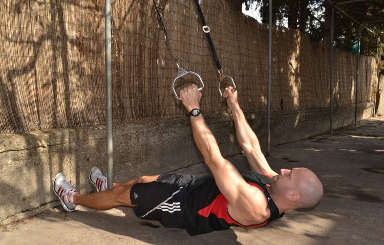 TRX inverted rows