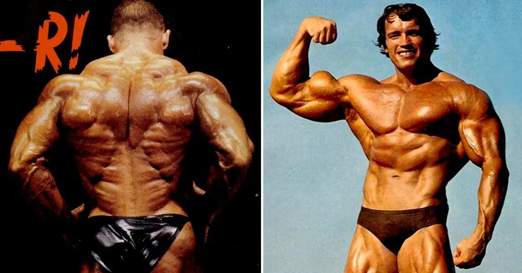Back And Bicep Workout