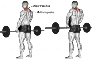 Barbell Shrugs: Muscles Worked, How-To, Benefits, Variations – Fitness Volt