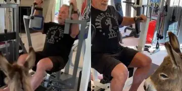 Arnold Schwarzenegger