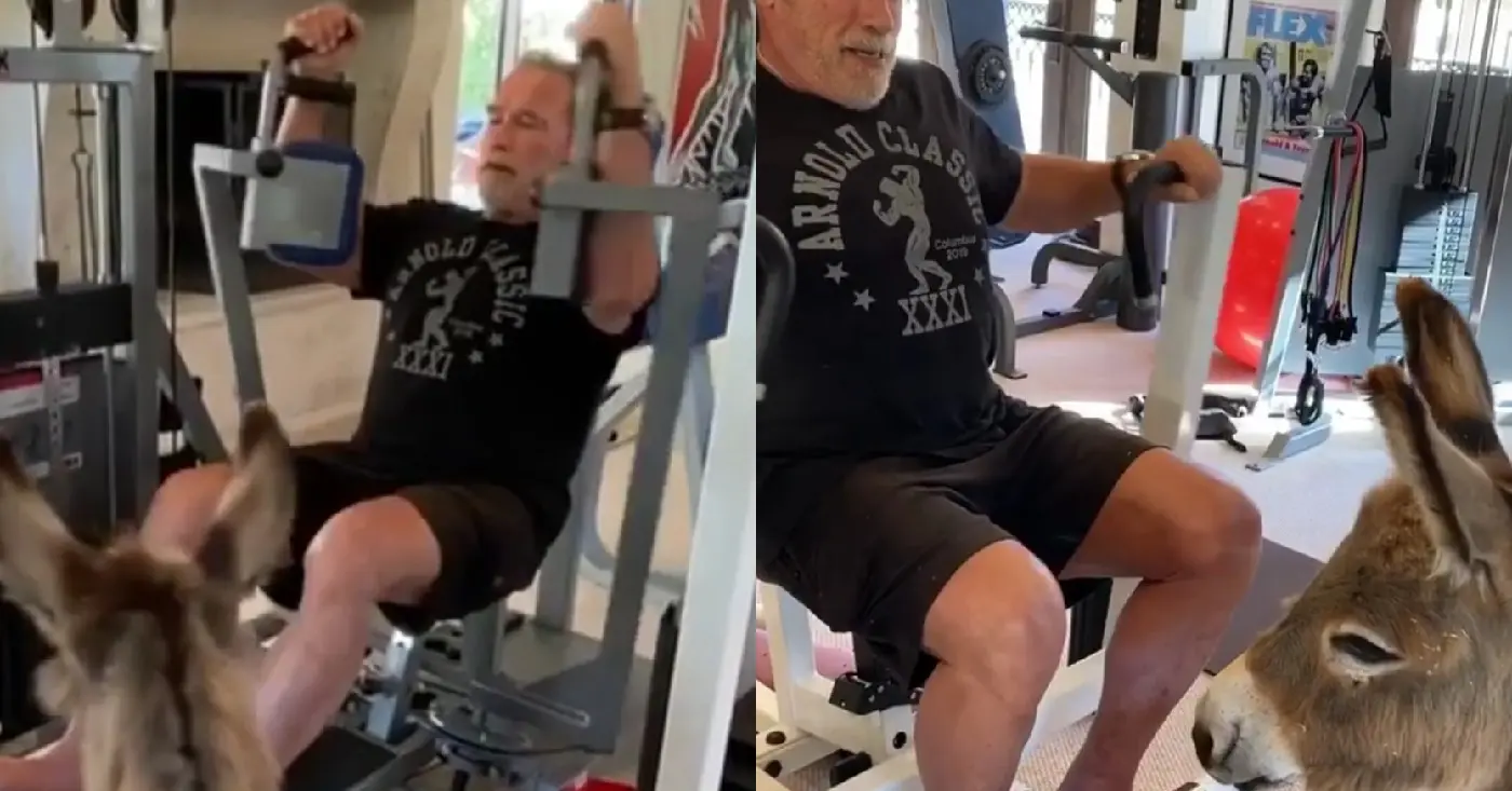 Arnold Schwarzenegger