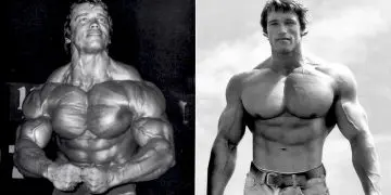 Best Lower Pec Exercises