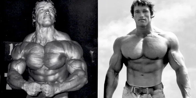 Best Lower Pec Exercises