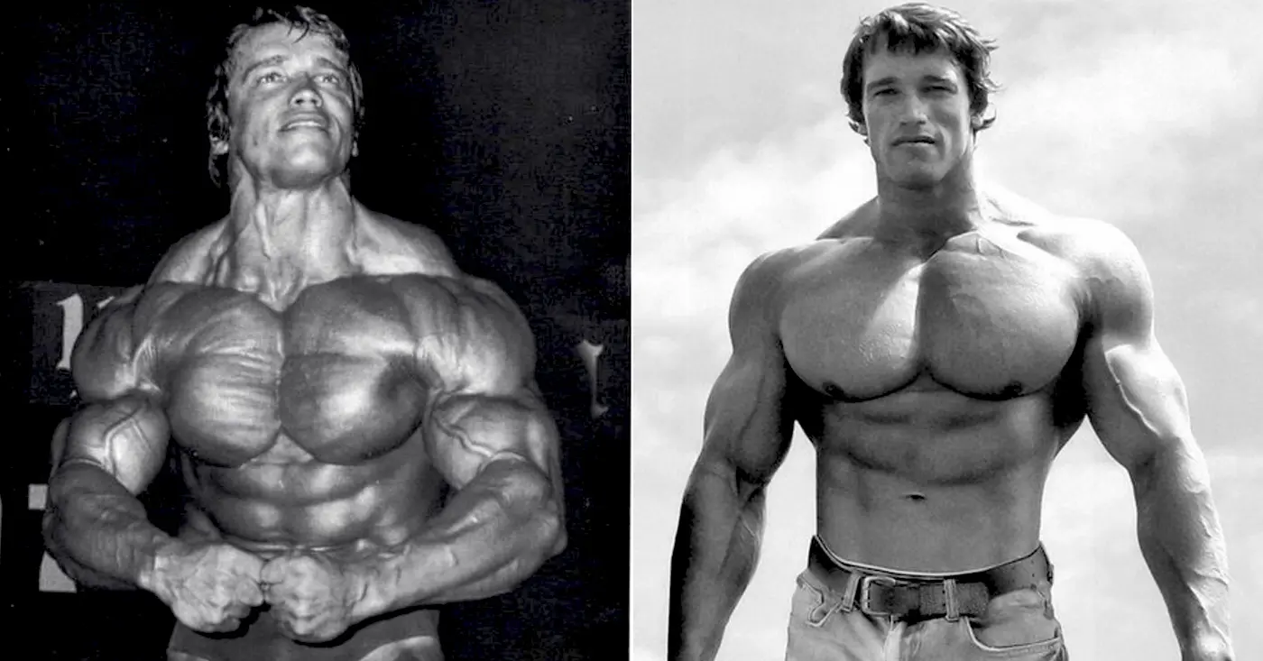 Best Lower Pec Exercises