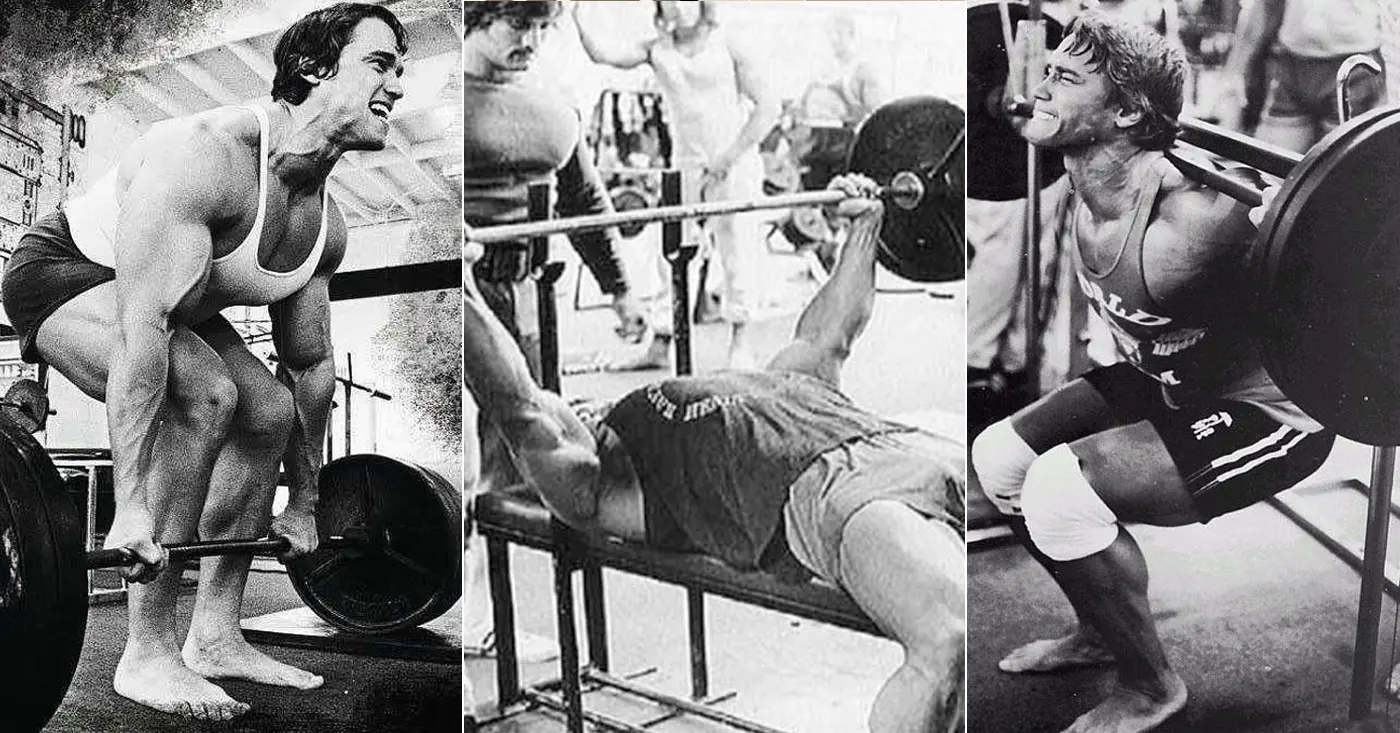 Push-Pull-Legs Routine