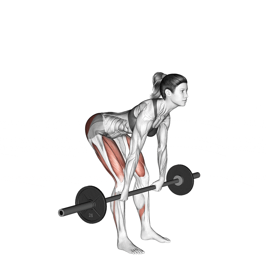The Best Hamstring Workout For Monster Leg Biceps Fitness Volt The Best Hamstring Workout For Monster Leg Biceps Fitness Volt