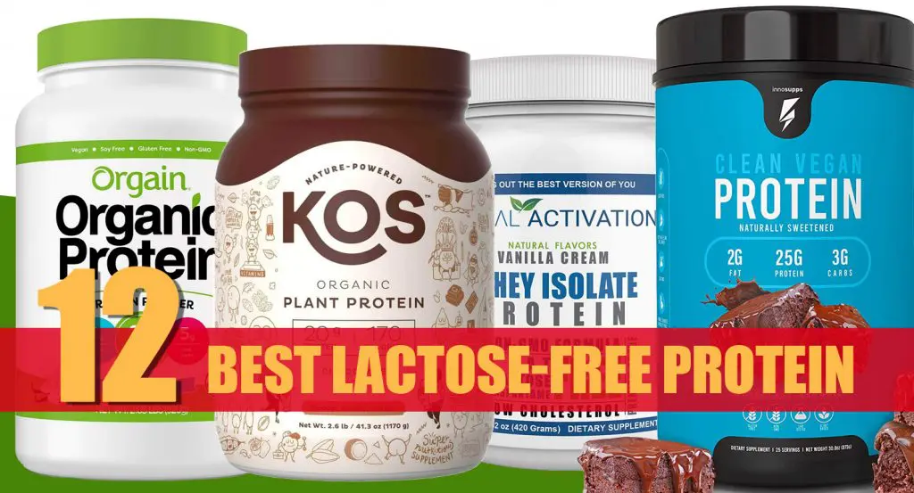 Best Lactose Free Protein