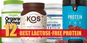 Best Lactose Free Protein