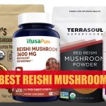 Best Reishi Mushroom