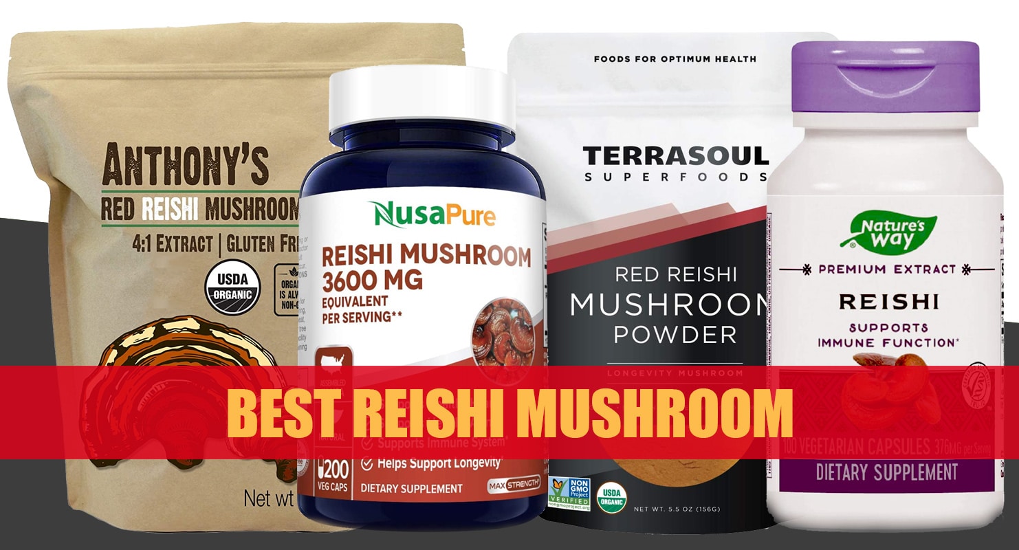 12 Best Reishi Mushroom Supplements Reviewed for 2023 Fitness Volt