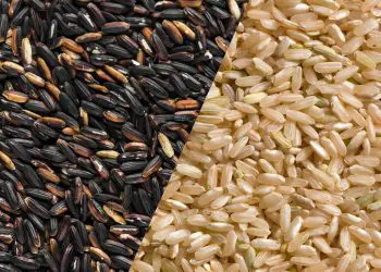 Black Rice Vs. Brown Rice