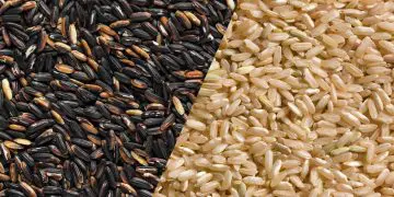 Black Rice Vs. Brown Rice