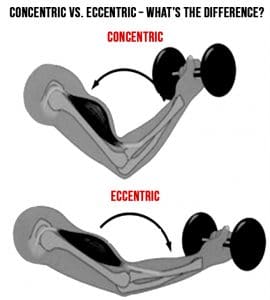 Eccentric Vs. Concentric Training – Fitness Volt