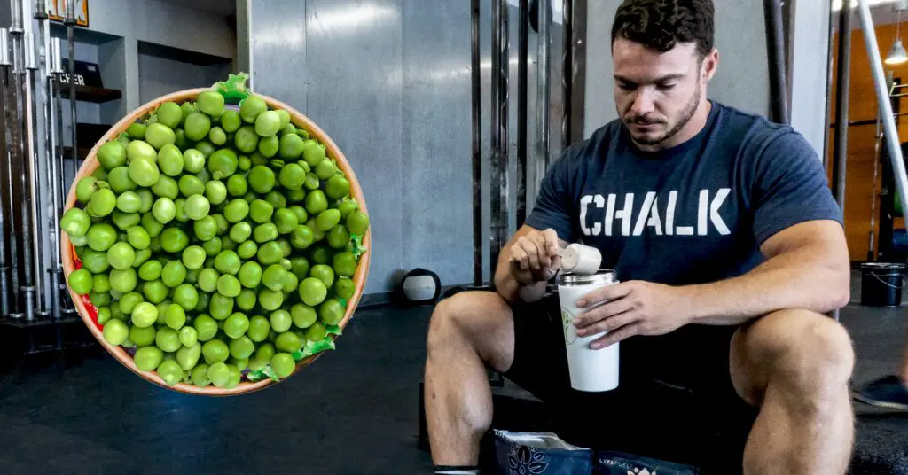 Plant Protein Study
