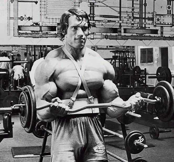 Arnold Biceps Training