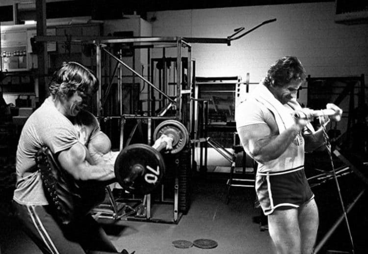 Arnold Training With Ric Drasin