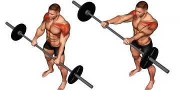 Barbell Front Raise