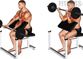 Barbell Preacher Curl