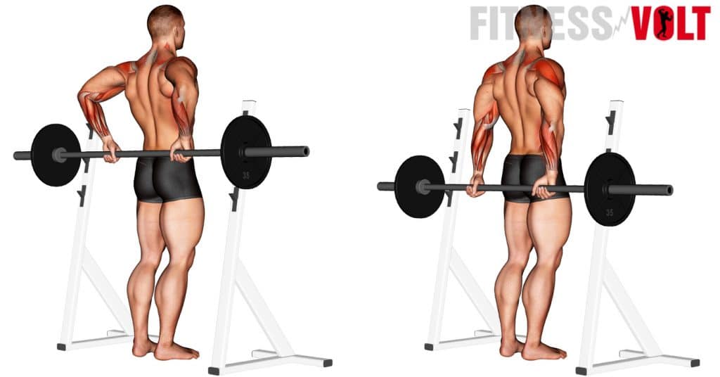 Barbell Rear Delt Raise How To Tips Variations And Video Guide 