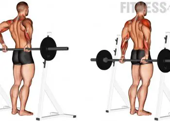 Barbell Rear Delt Raise
