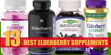 Best Elderberry Supplements