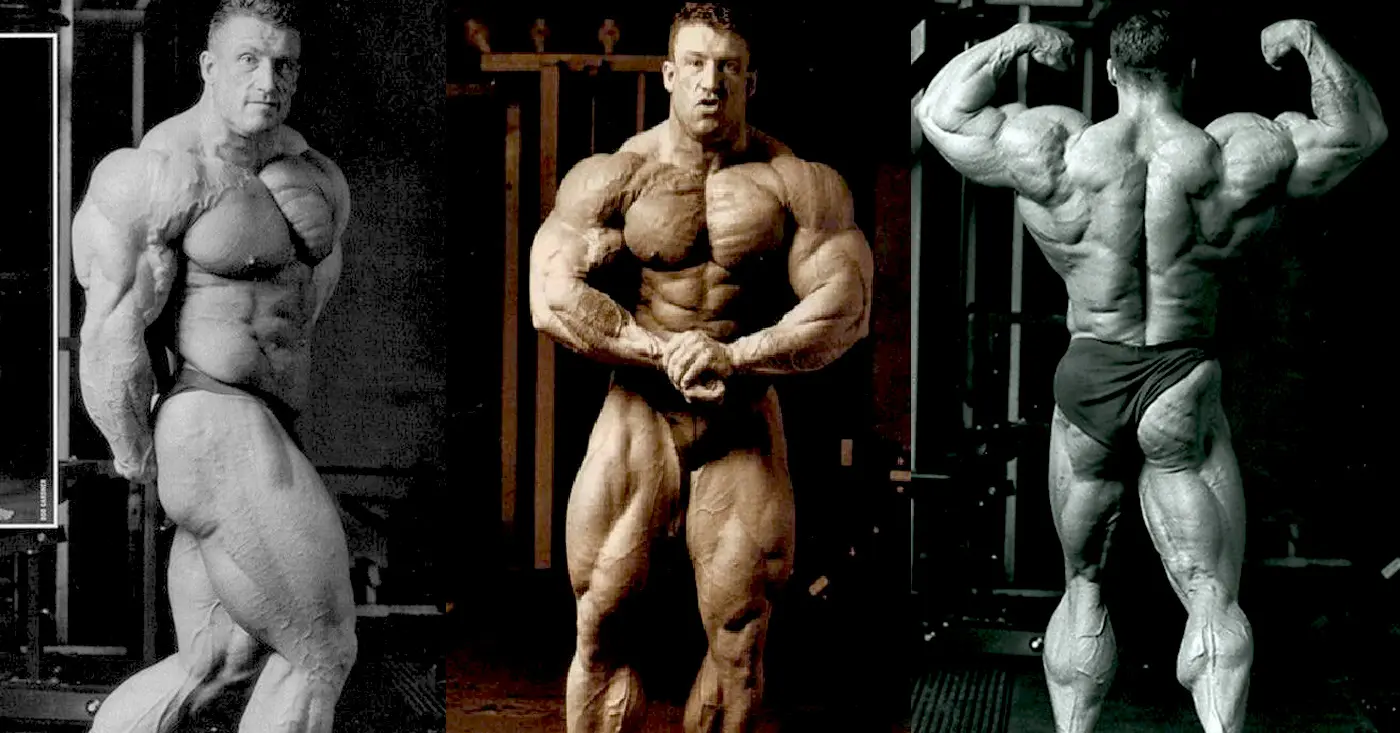 Best Exercises For Each Muscle Group