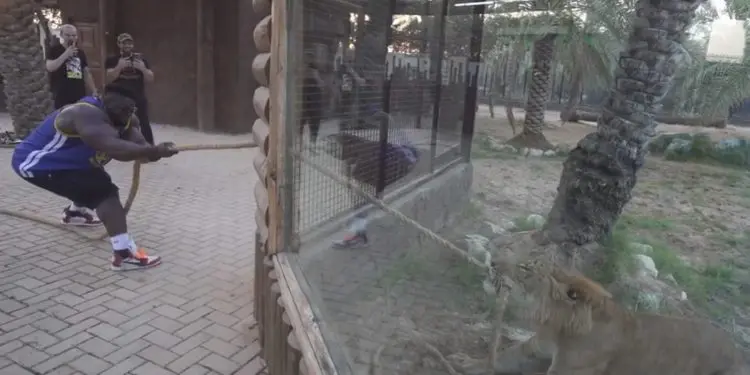 Blessing Awodibu Vs Tiger