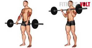 How To Barbell Reverse Curl