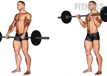 How To Barbell Reverse Curl