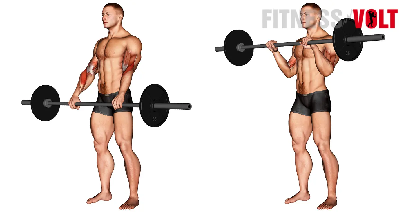 How To Barbell Reverse Curl