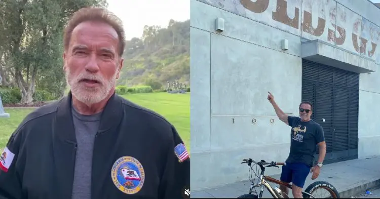 Arnold Schwarzenegger Gold S Gym