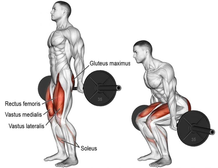 10 Best Leg Press Alternatives