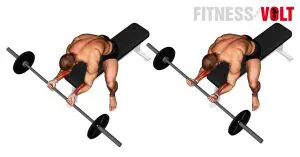 Barbell Wrist Curl For Forearms