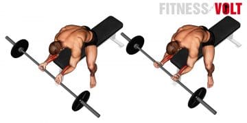 Barbell Wrist Curl For Forearms