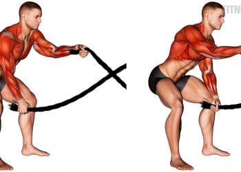 Battling Ropes Exercise Guide